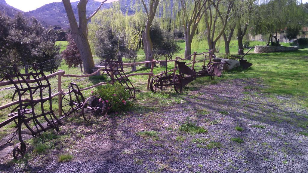 Agriturismo Cugumia Thiesi 외부 사진