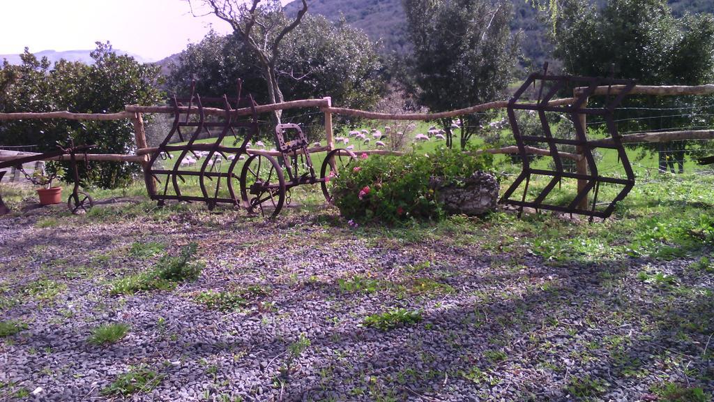 Agriturismo Cugumia Thiesi 외부 사진