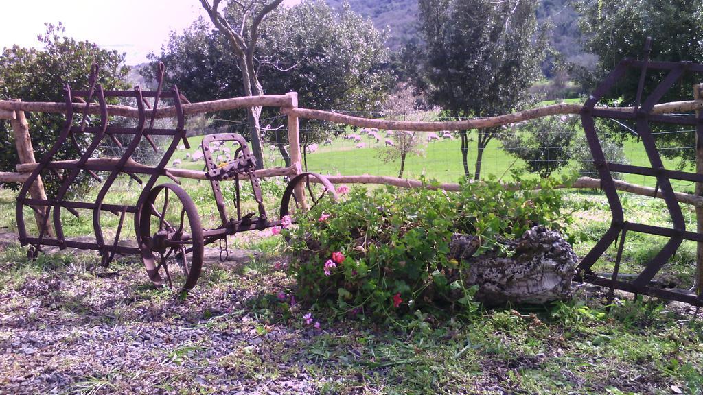 Agriturismo Cugumia Thiesi 외부 사진