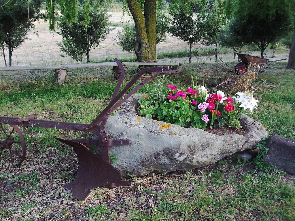Agriturismo Cugumia Thiesi 외부 사진